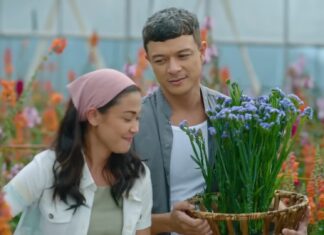 “Lavender Fields” Pilot Hits 629K+ Live Views, Trends Online Across Multiple Topics
