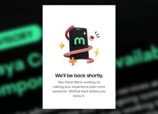 Bull Run, Maintenance Run: Maya Downtime Sparks Anger Among Traders